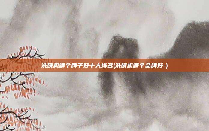 洗碗机哪个牌子好十大排名(洗碗机哪个品牌好-)
