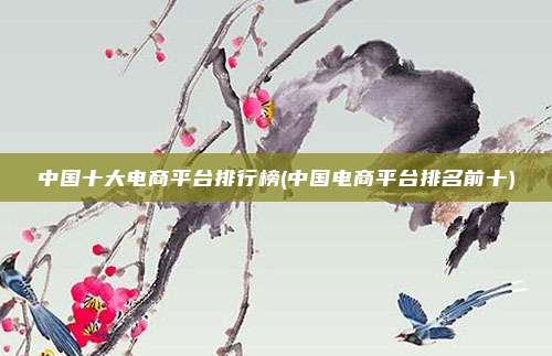 中国十大电商平台排行榜(中国电商平台排名前十)