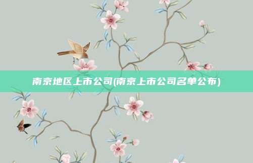 南京地区上市公司(南京上市公司名单公布)