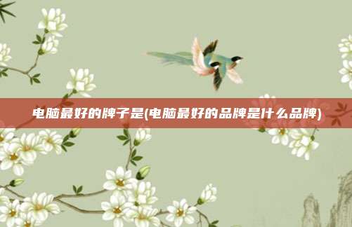 电脑最好的牌子是(电脑最好的品牌是什么品牌)