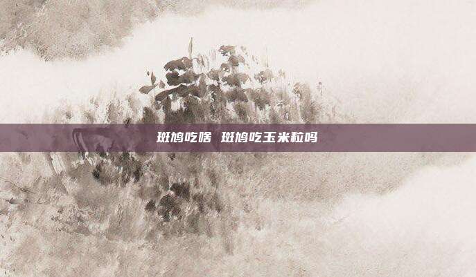 斑鸠吃啥 斑鸠吃玉米粒吗