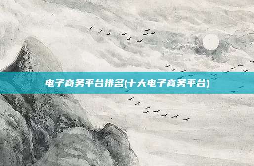 电子商务平台排名(十大电子商务平台)