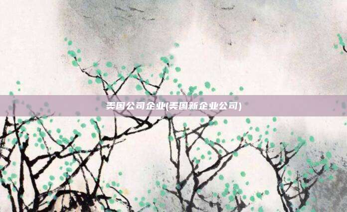 美国公司企业(美国新企业公司)