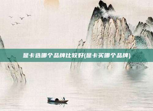 显卡选哪个品牌比较好(显卡买哪个品牌)