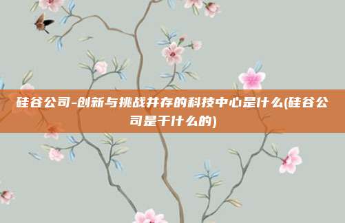 硅谷公司-创新与挑战并存的科技中心是什么(硅谷公司是干什么的)