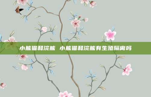 小熊猫和浣熊 小熊猫和浣熊有生殖隔离吗