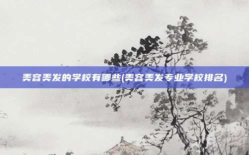 美容美发的学校有哪些(美容美发专业学校排名)