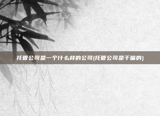 托管公司是一个什么样的公司(托管公司是干嘛的)