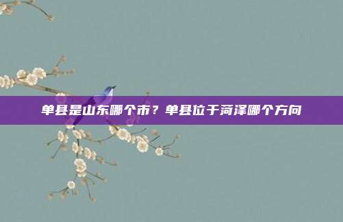 单县是山东哪个市?单县位于菏泽哪个方向