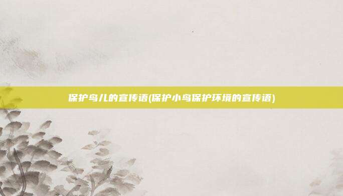 保护鸟儿的宣传语(保护小鸟保护环境的宣传语)
