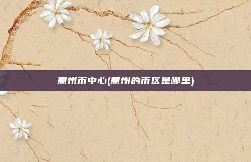 惠州市中心(惠州的市区是哪里)