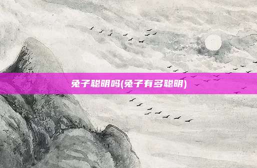兔子聪明吗(兔子有多聪明)
