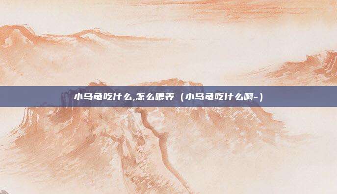 小乌龟吃什么,怎么喂养（小乌龟吃什么啊-）