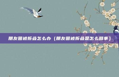 朋友圈被折叠怎么办(朋友圈被折叠是怎么回事)