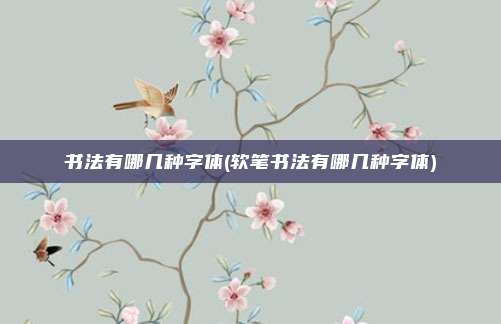 书法有哪几种字体(软笔书法有哪几种字体)