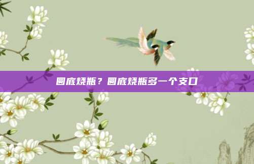 圆底烧瓶？圆底烧瓶多一个支口