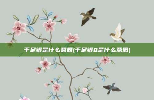 千足银是什么意思(千足银Q是什么意思)