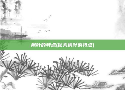 枫叶的特点(秋天枫叶的特点)