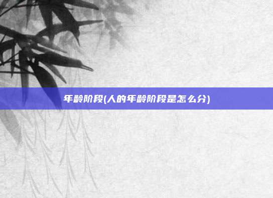 年龄阶段(人的年龄阶段是怎么分)