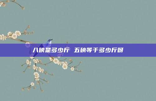 八磅是多少斤 五磅等于多少斤呀