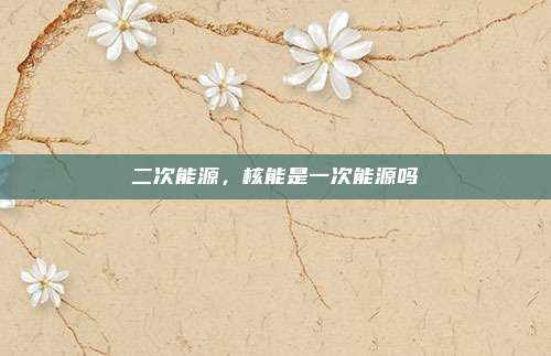 二次能源，核能是一次能源吗
