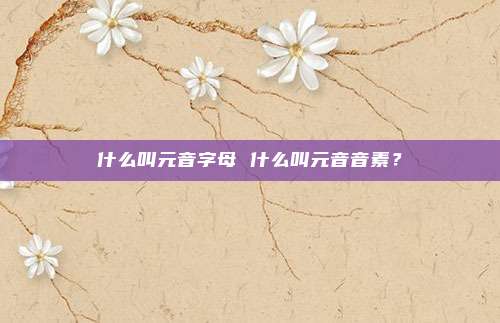 什么叫元音字母 什么叫元音音素?