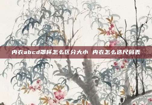 内衣abcd罩杯怎么区分大小 内衣怎么选尺码表