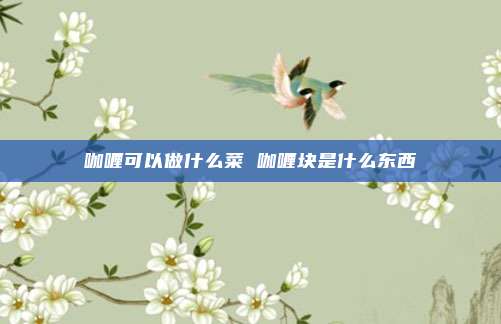 咖喱可以做什么菜 咖喱块是什么东西