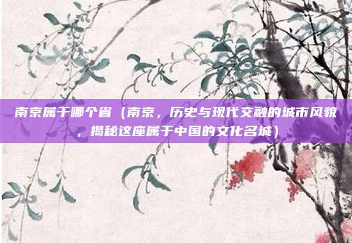 南京属于哪个省(南京,历史与现代交融的城市风貌,揭秘这座属于中国的文化名城)