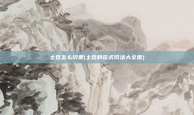 土豆怎么切条(土豆的花式切法大全图)