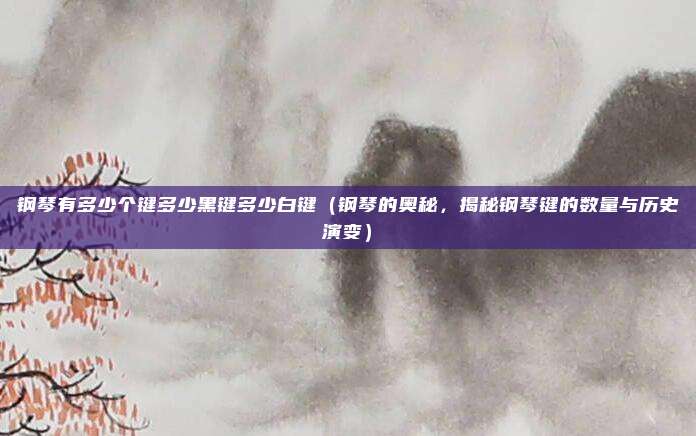 钢琴有多少个键多少黑键多少白键（钢琴的奥秘，揭秘钢琴键的数量与历史演变）