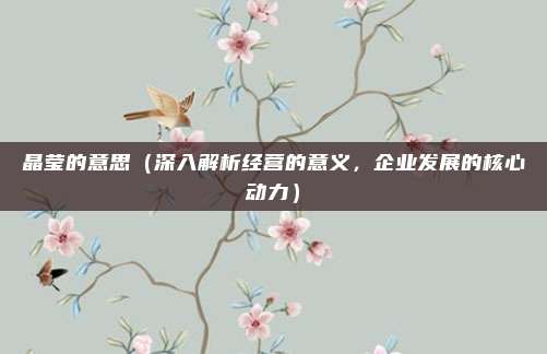 晶莹的意思（深入解析经营的意义，企业发展的核心动力）