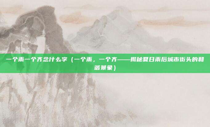 一个雨一个齐念什么字（一个雨，一个齐——揭秘夏日雨后城市街头的和谐景象）