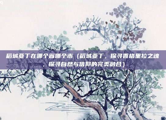稻城亚丁在哪个省哪个市（稻城亚丁，探寻香格里拉之魂，探寻自然与信仰的完美融合）