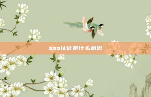 aaa认证是什么意思