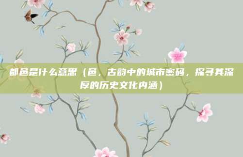 都邑是什么意思（邑，古韵中的城市密码，探寻其深厚的历史文化内涵）