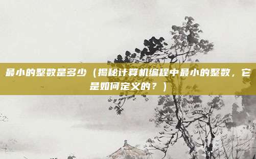 最小的整数是多少（揭秘计算机编程中最小的整数，它是如何定义的？）