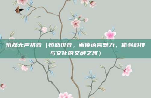 悄然无声拼音（悄然拼音，解锁语言魅力，体验科技与文化的交融之旅）