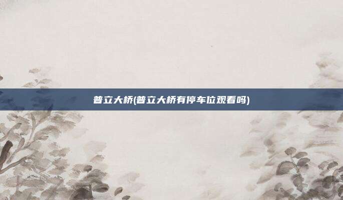 普立大桥(普立大桥有停车位观看吗)