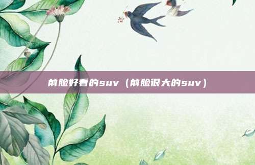 前脸好看的suv(前脸很大的suv)