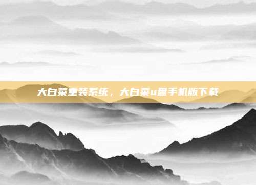 大白菜重装系统,大白菜u盘手机版下载
