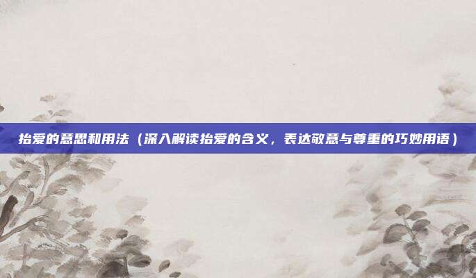 抬爱的意思和用法（深入解读抬爱的含义，表达敬意与尊重的巧妙用语）