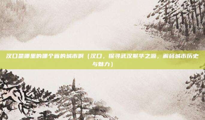 汉口是哪里的哪个省的城市啊（汉口，探寻武汉繁华之源，解码城市历史与魅力）