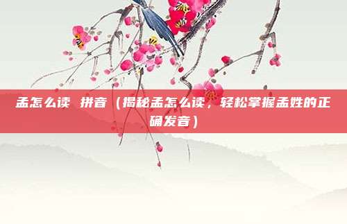 孟怎么读 拼音（揭秘孟怎么读，轻松掌握孟姓的正确发音）
