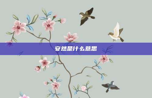 安然是什么意思