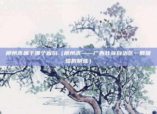 柳州市属于哪个省份(柳州市——广西壮族自治区一颗璀璨的明珠)