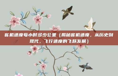 客机速度每小时多少公里（揭秘客机速度，从历史到现代，飞行速度的飞跃发展）