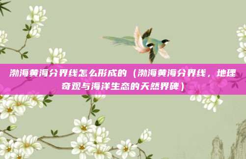 渤海黄海分界线怎么形成的（渤海黄海分界线，地理奇观与海洋生态的天然界碑）