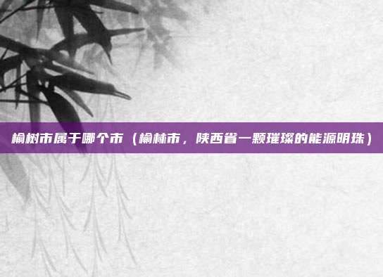 榆树市属于哪个市（榆林市，陕西省一颗璀璨的能源明珠）