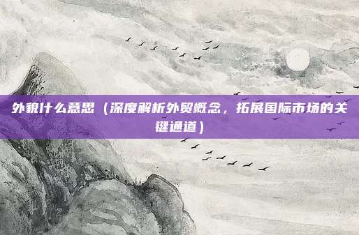 外貌什么意思(深度解析外贸概念,拓展国际市场的关键通道)